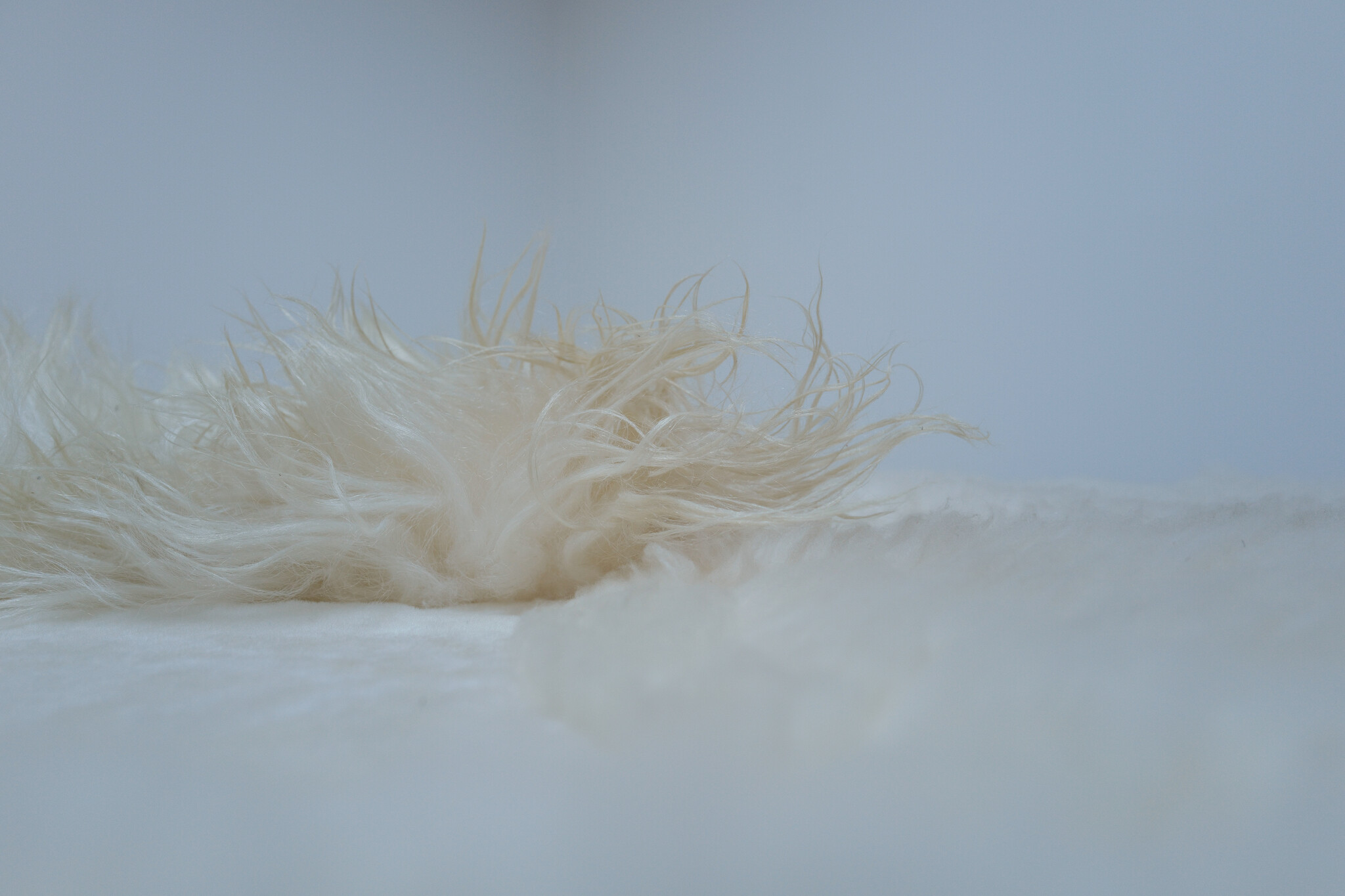 Carine Boxy “WHITE SEA” landscape tapijt, 2026