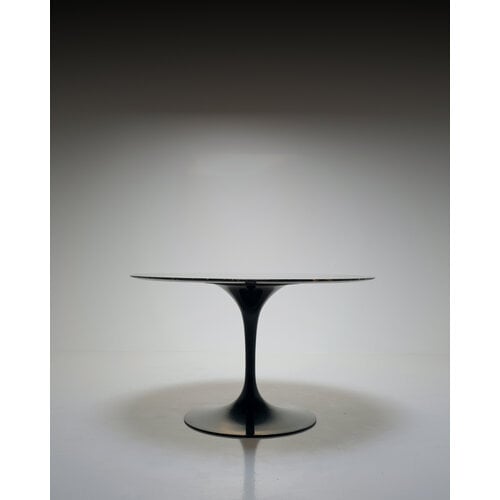 Table Knoll Tulip