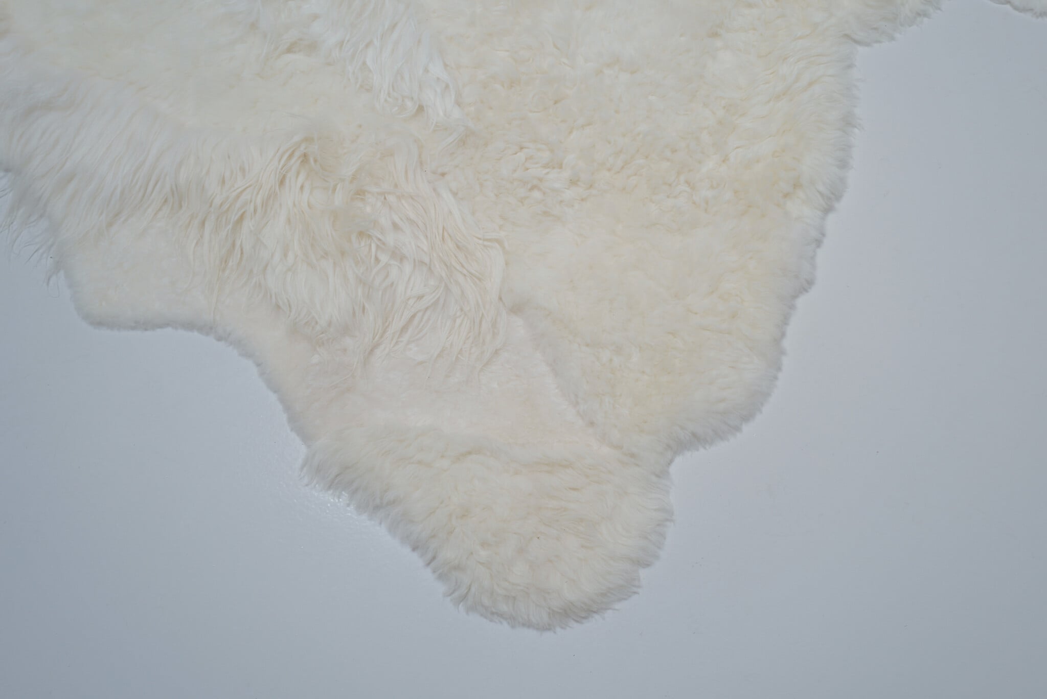 Carine Boxy “PRETTY” landscape tapijt, 2026