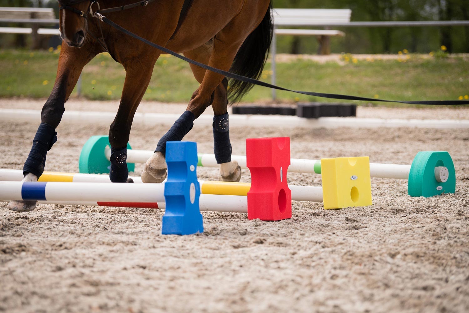 Cavaletti blok XS - schuimrubber