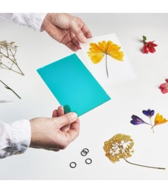 Studio Carmela Bogman Flowerframe - Ghost White - Small