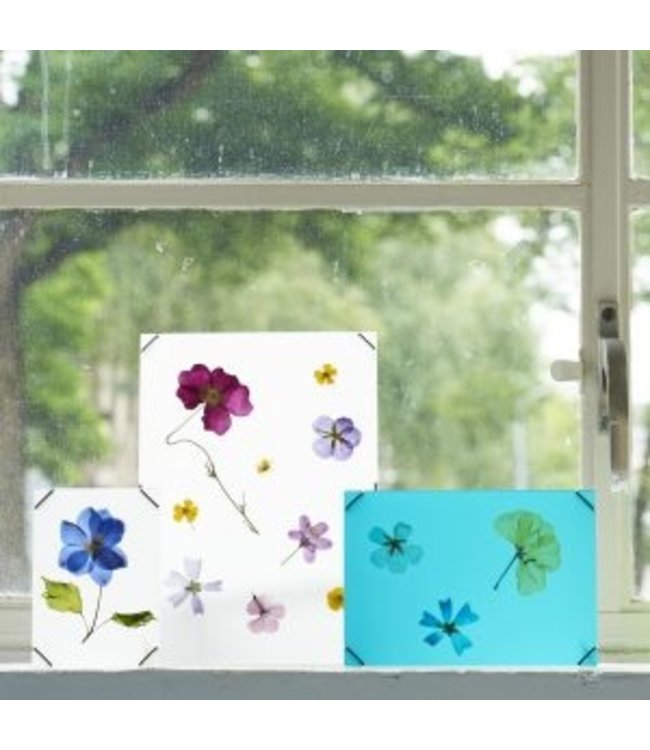 Studio Carmela Bogman Flowerframe - Ghost White - Small