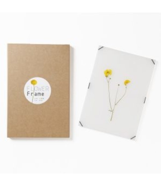 Studio Carmela Bogman Flowerframe - Ghost White - Small