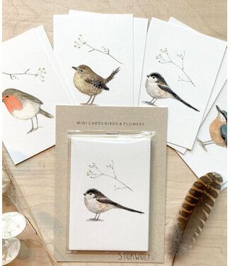 Stokwolf Set minikaartjes met vogels en bloemen