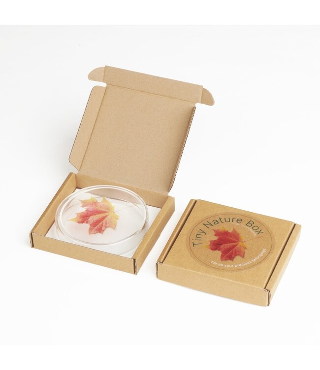 Studio Carmela Bogman Tine Nature Box - Maple