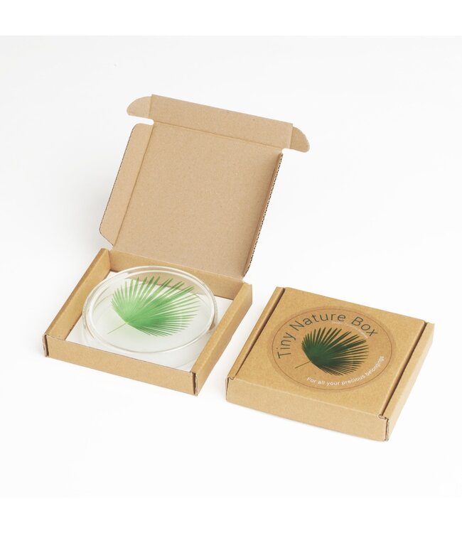 Studio Carmela Bogman Tine Nature Box - Palm
