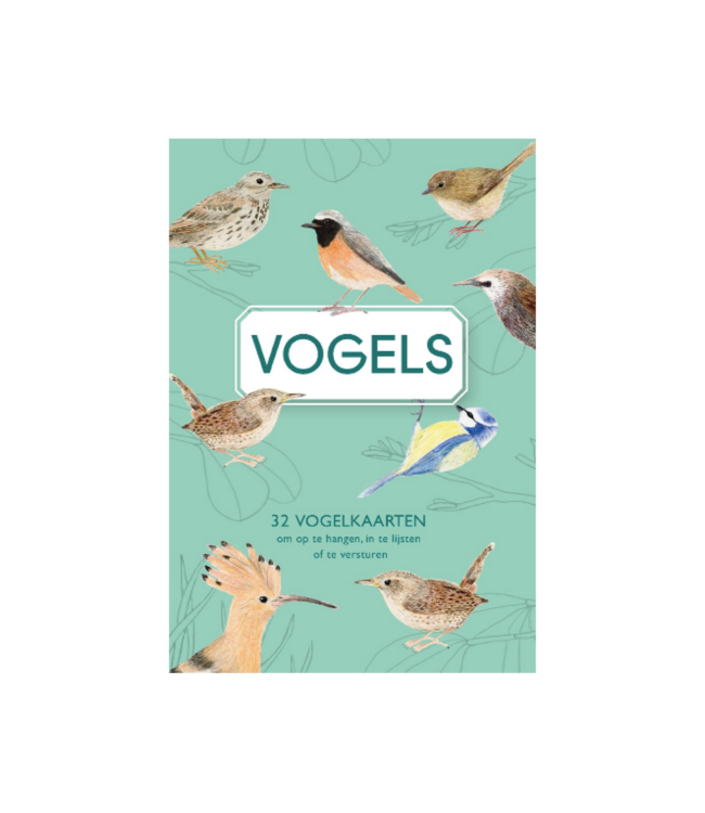 Uitgeverij De Wereld van Snor Vogels Kaartenboekje