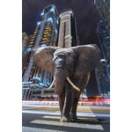 Wanddecoratie  "Elephant in city"