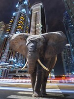 Wanddecoratie  "Elephant in city"