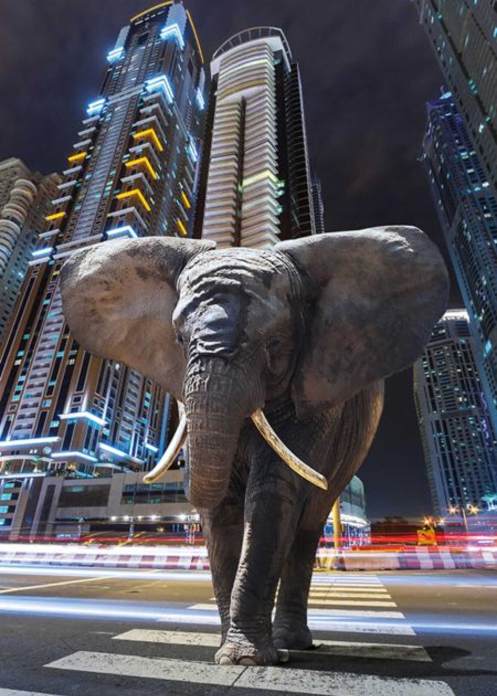 digital art wanddecoratie "Elephant in city"