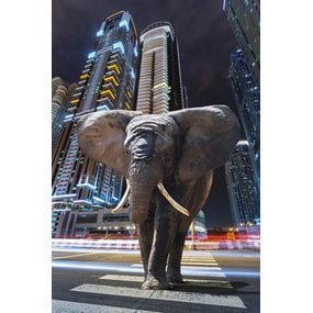 Wanddecoratie  "Elephant in city"