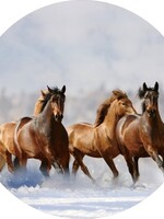 Paarden  in de sneeuw