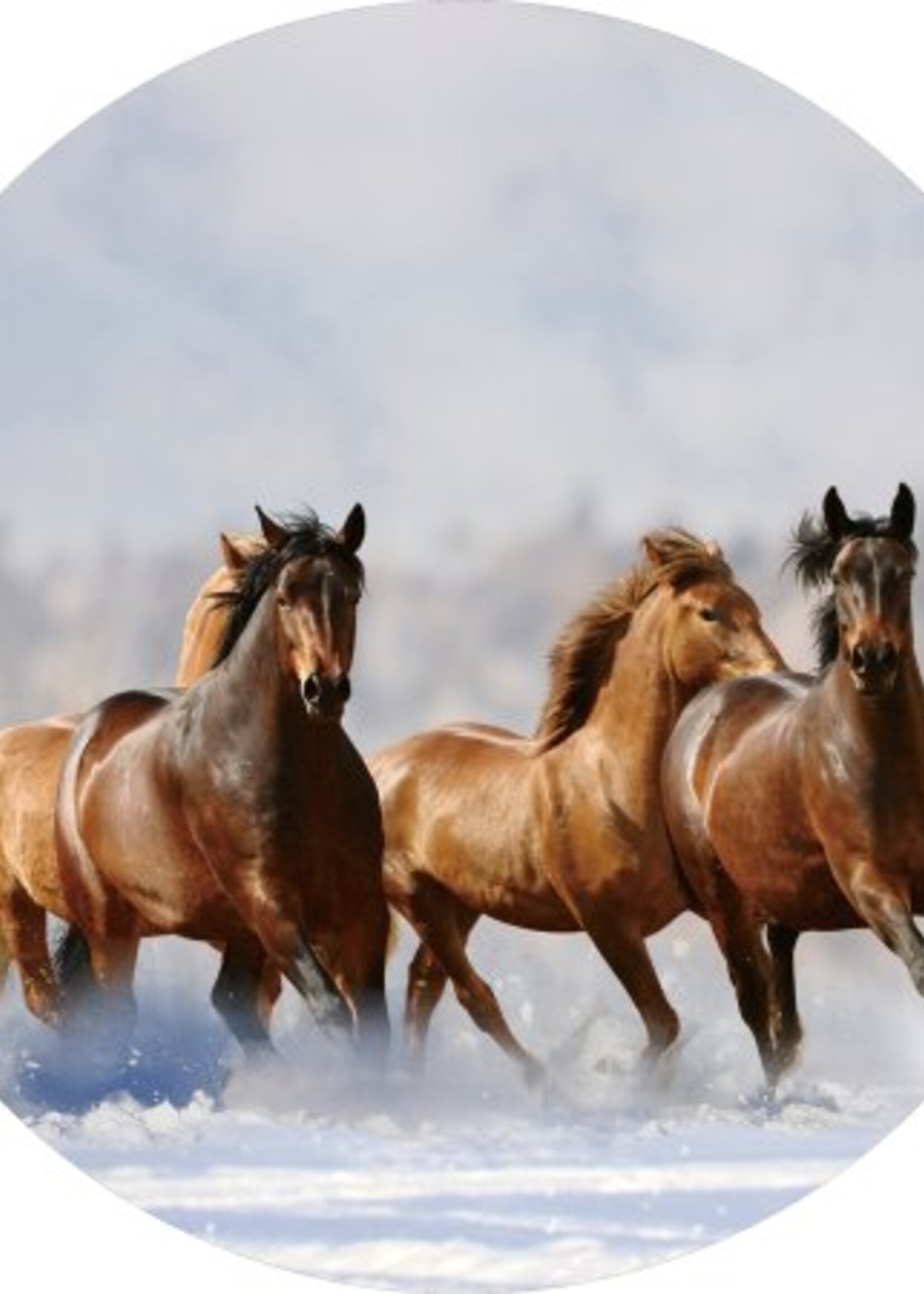 Glazen wanddecoratie rond  "Paarden  in de sneeuw"