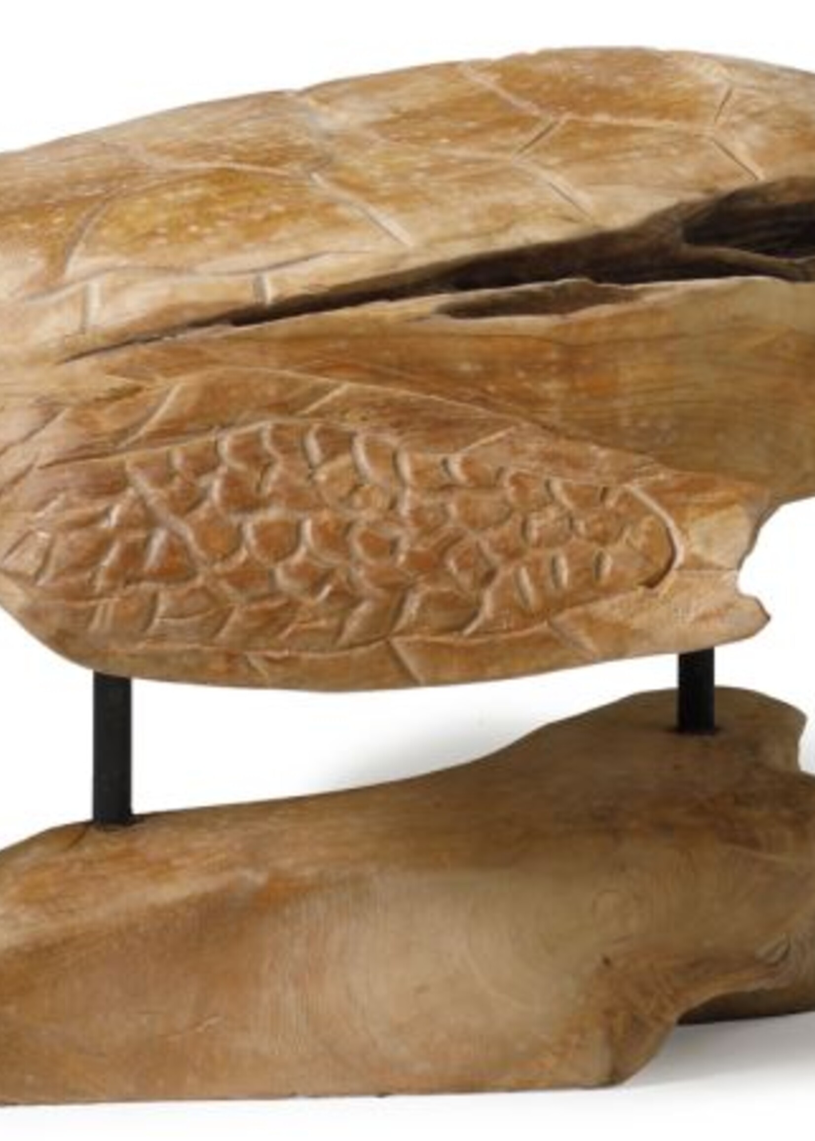 Houtsnijwerk schildpad