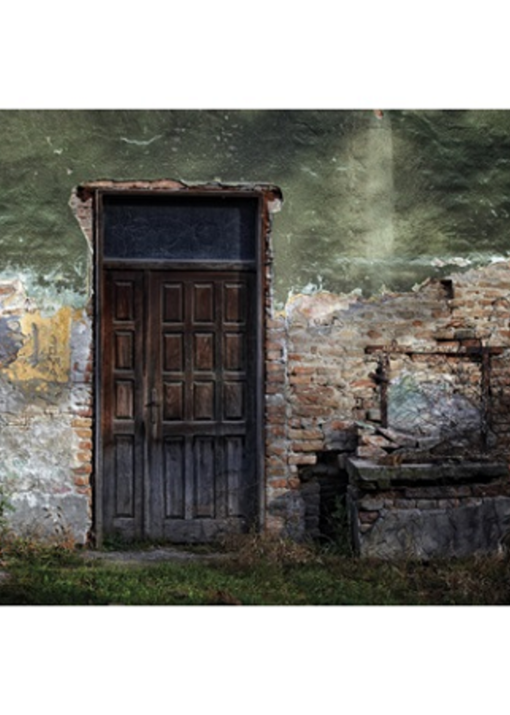 Wandkleed "Brick wall"