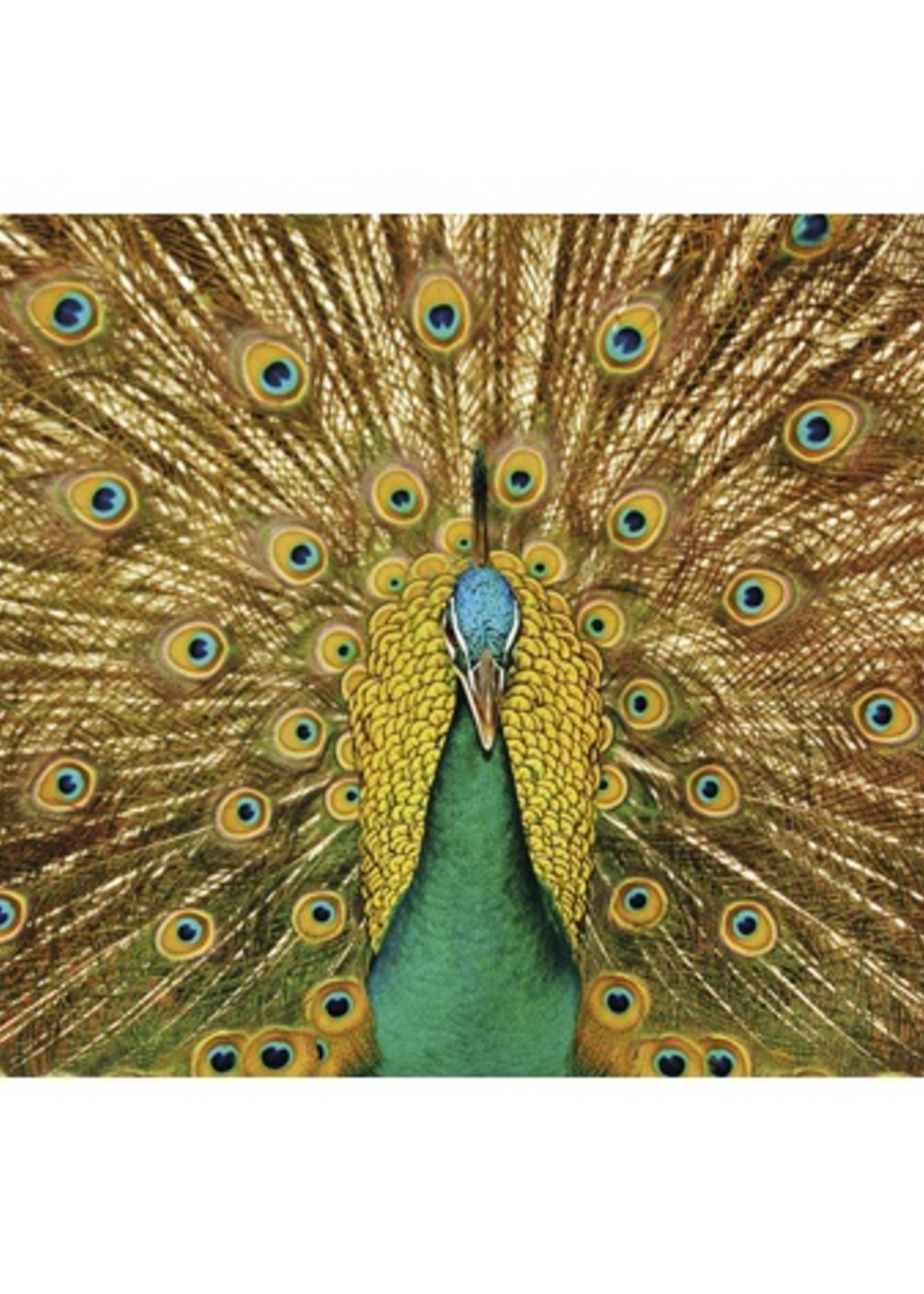 Wanddecoratie Peacock