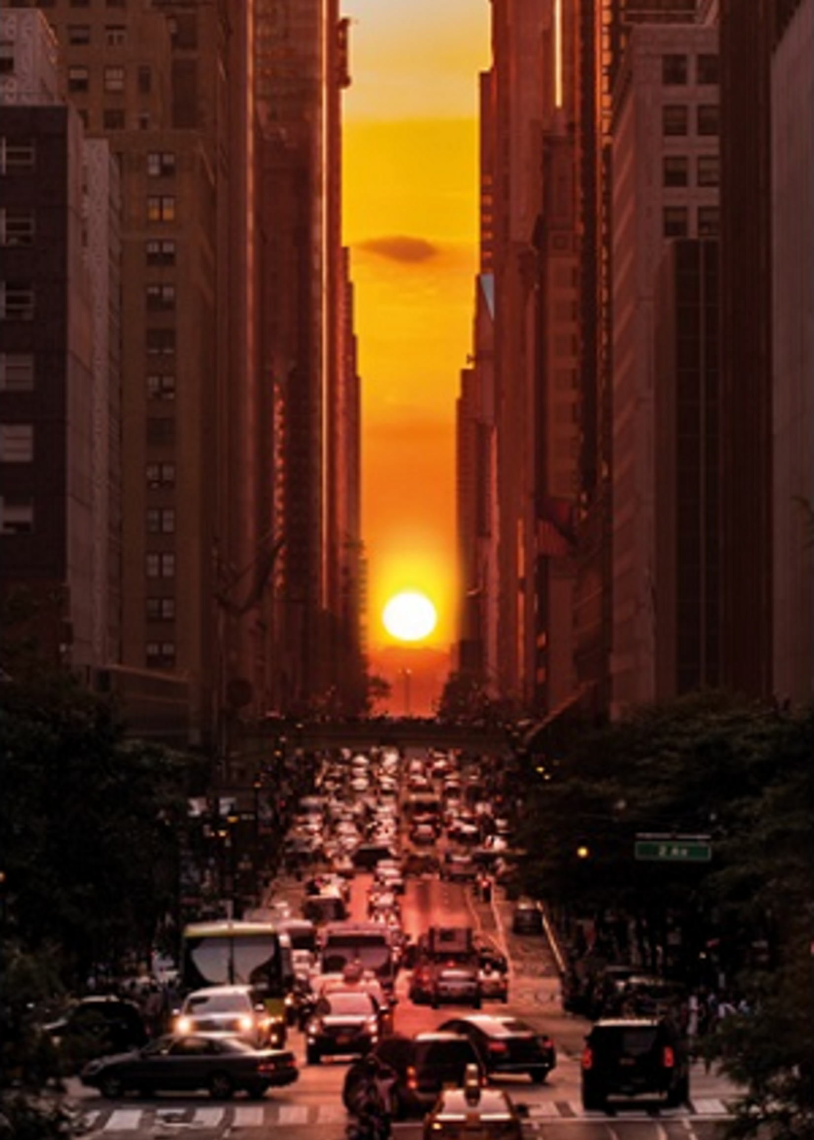 Wanddecoratie "Manhattanhenge"