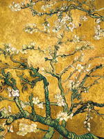 Yellow blossom  Velvet