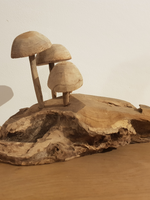 Paddenstoelen op stam