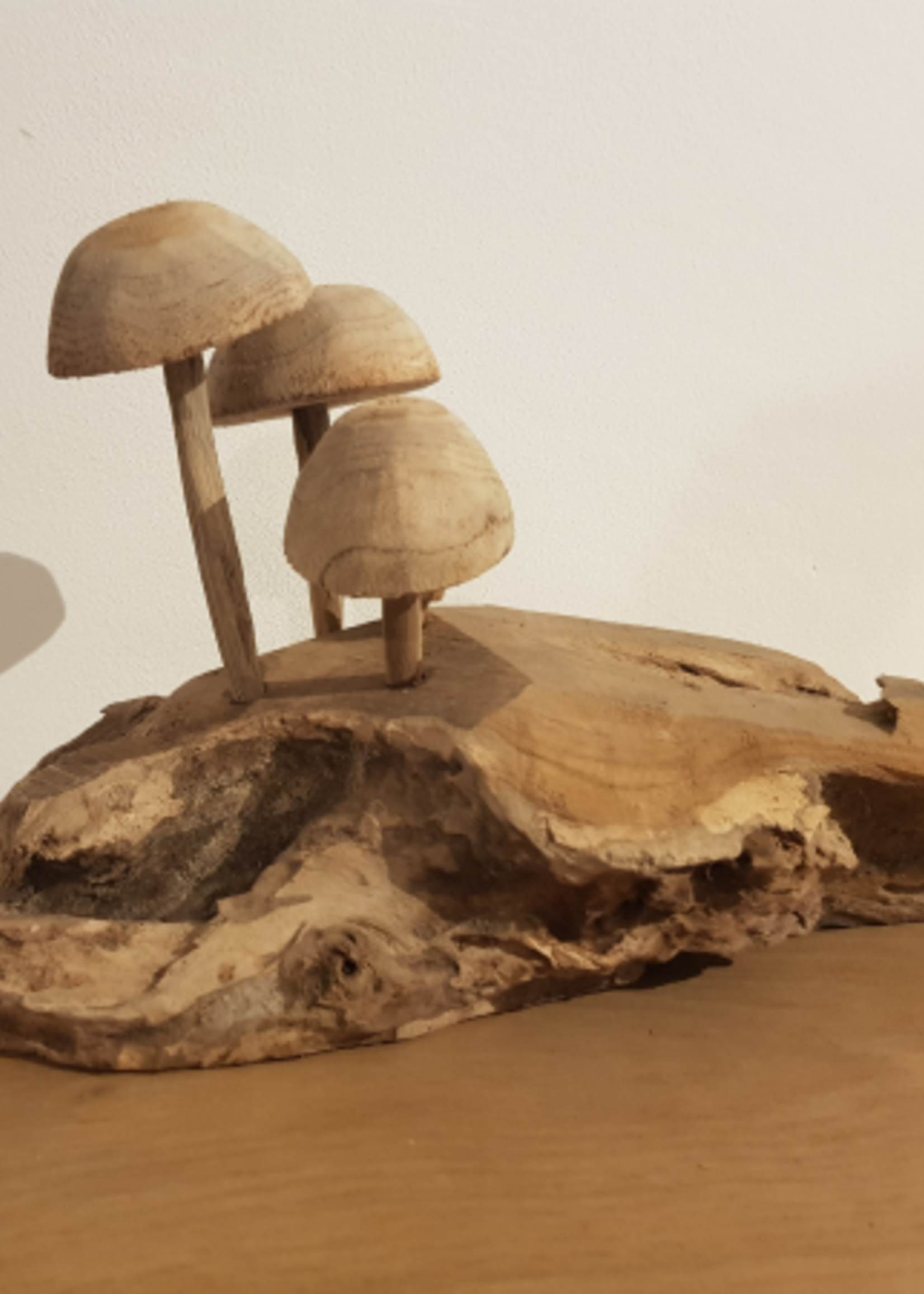 Houten kunstwerk Paddenstoelen op stam