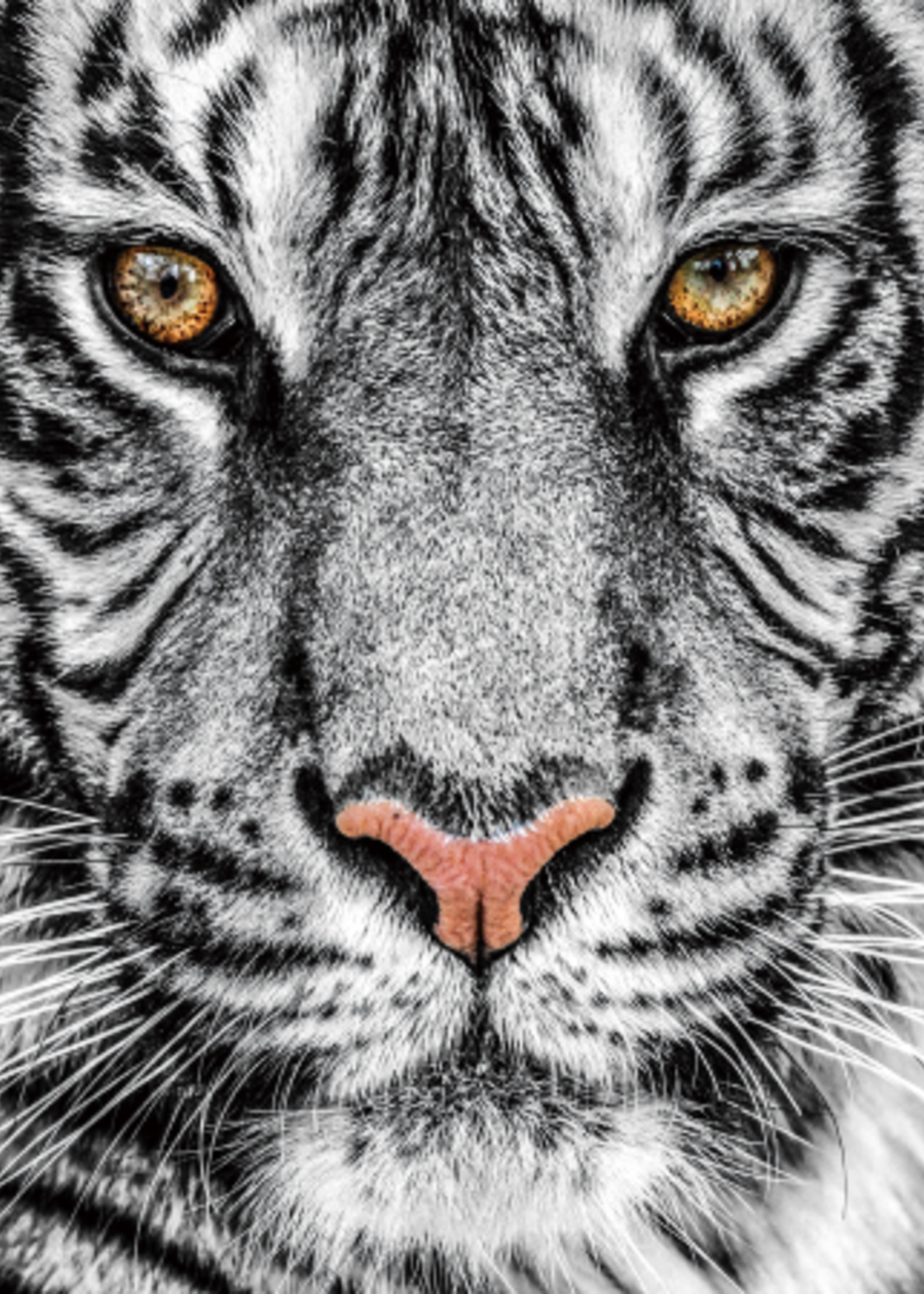 Glazen wanddecoratie Witte Tijger