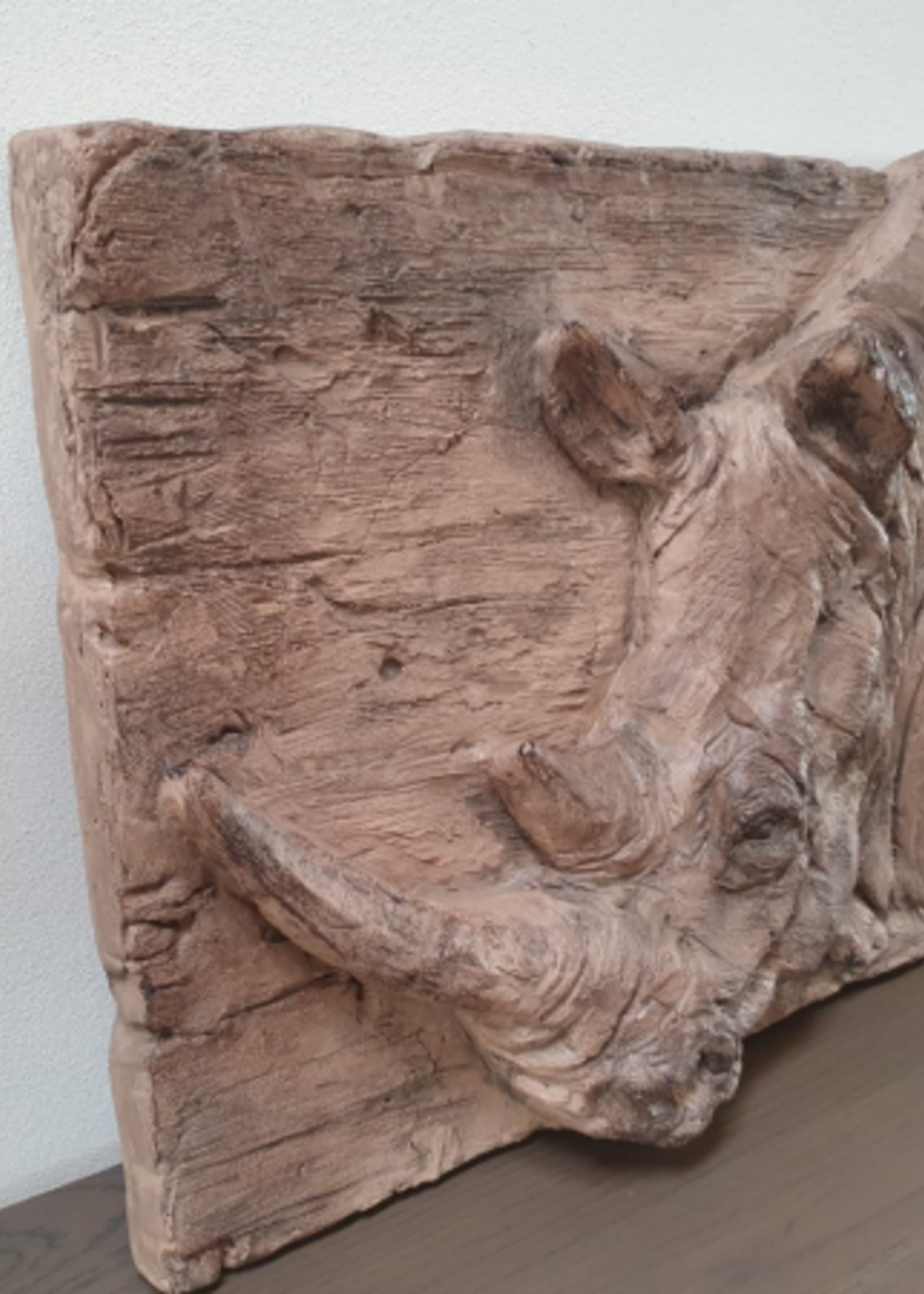 Wanddecoratie Neushoorn