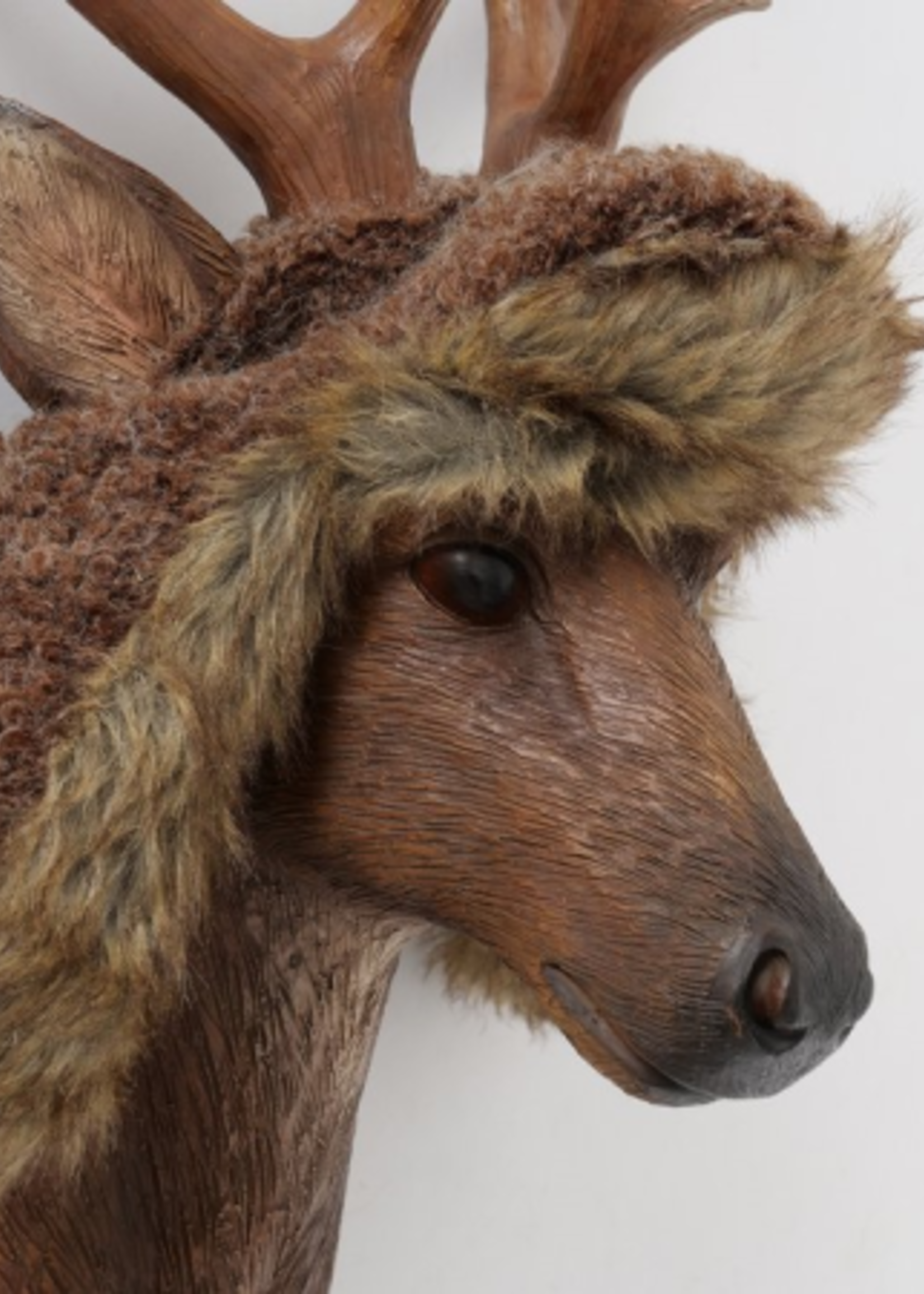 Wanddecoratie Hertenhoofd