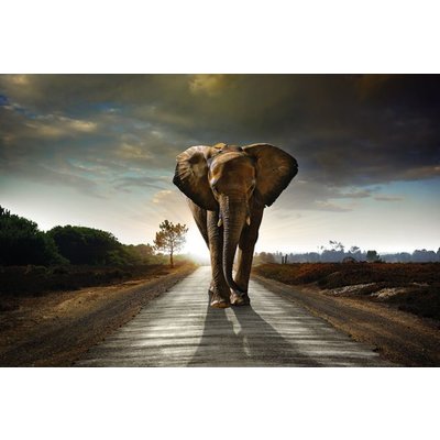 Wanddecoratie "Olifant"  op de weg