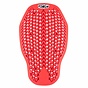 Nucleon Plasma Back Protector
