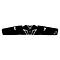 Saturn Kidney Belt