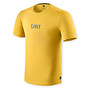 Ocher yellow