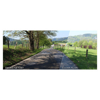 Shoei CWR-F2RPN X-SPR Pro / NXR2 Visor