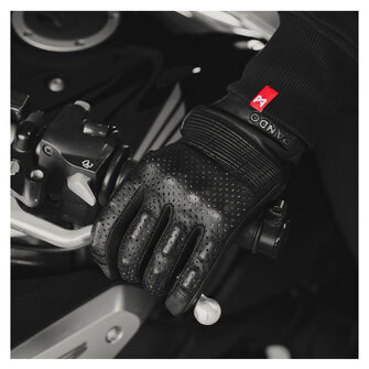 Pando Moto Onyx 02