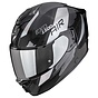 Gloss black-silver