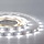 LED en bande auto-adhésive 5630 SMD 30 LED/m Blanc - par 50cm