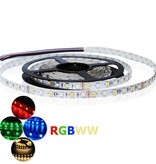 Bande LED RVB-WW 60 LED/m Kit