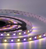 RGB-WW LED Streifen 60 LED/m Set