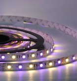 RGB-WW LED Strip 60 LED/m Set Complete