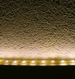 LED en Bande Étanche Blanc Chaud - par 50cm