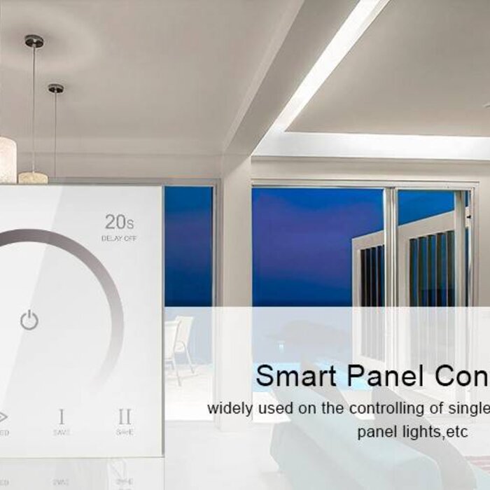 Controllore Singolo colore Wall Mount Bianco