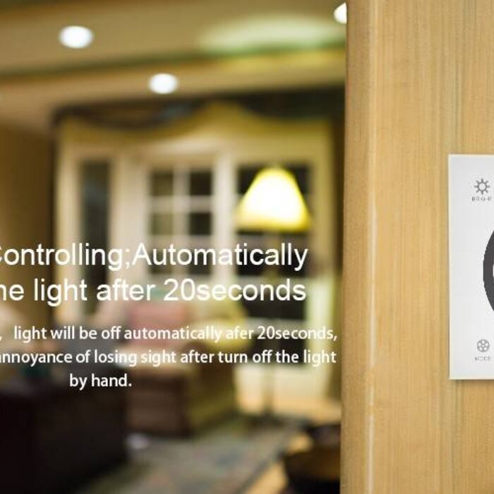 Controllore Singolo colore Wall Mount Bianco