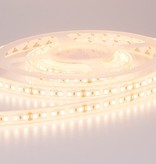 Tira LED Impermeable 2835 160 LED/m Blanco cálido - par 50cm