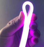 LED Neon Flexible RVB numérique - 60 LED/m - par 50cm