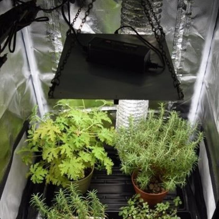 Lámpara LED cultivo IP65 100W 243 umol/s