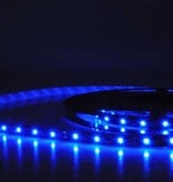 Azul 60 LED / m completa