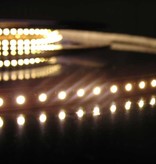 Blanco Cálido 120 LED / m completa