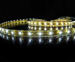 LED en Bande Étanche Blanc - par 50cm