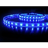 LED en Bande Étanche Bleue - par 50cm