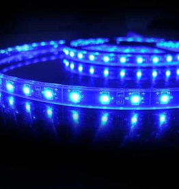 LED en Bande Étanche Bleue - par 50cm