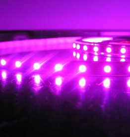 Arote UV LED Strip Schwarzlicht Streifen Band Leiste SMD 3528 UV Licht  Lichterkette Lichtleiste lila, Deko Party, 5M IP20 nicht wasserdicht, 12V  DC : : Beleuchtung